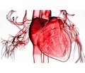 Cardiomyopathies in pregnant women: features of anesthetic management during labor