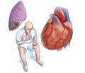Acute heart failure and cardiogenic shock: modern principles of diagnosis and treatment