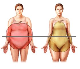 Динамика антропометрических показателей у женщин фертильного возраста с ожирением при различных схемах терапии