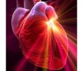Діастолічна функція лівого шлуночка  в клінічній практиці кардіолога