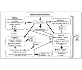 Влияние комплексного лечения гипотиреоза на ренальную функцию у больных гипотиреозом