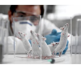 Influence of ademol on the level of tumor necrosis factor α in the brain of rats with model of traumatic brain injury