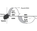 Role and Place of omega-3 Fatty Acids in the Regulation of Systemic Inflammatory Response Syndrome in Patients Receiving Intensive Care