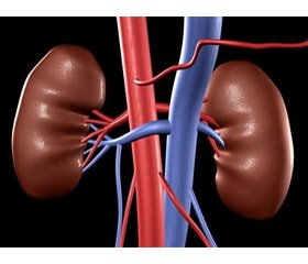 Acute renal failure in severe poisoning by methadone