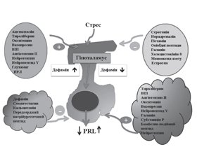 Етіопатогенетичні особливості гіперпролактинемії в дитячому віці