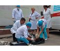 Simulation forms training for emergency medical services crews