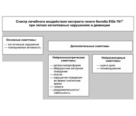 Гинкго билоба при легких когнитивных нарушениях и деменции: данные новых обобщающих исследований